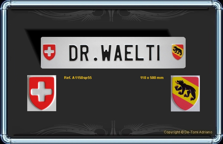Swiss license plates DOCTOR WAELTI BERN Number plates of Switzerland